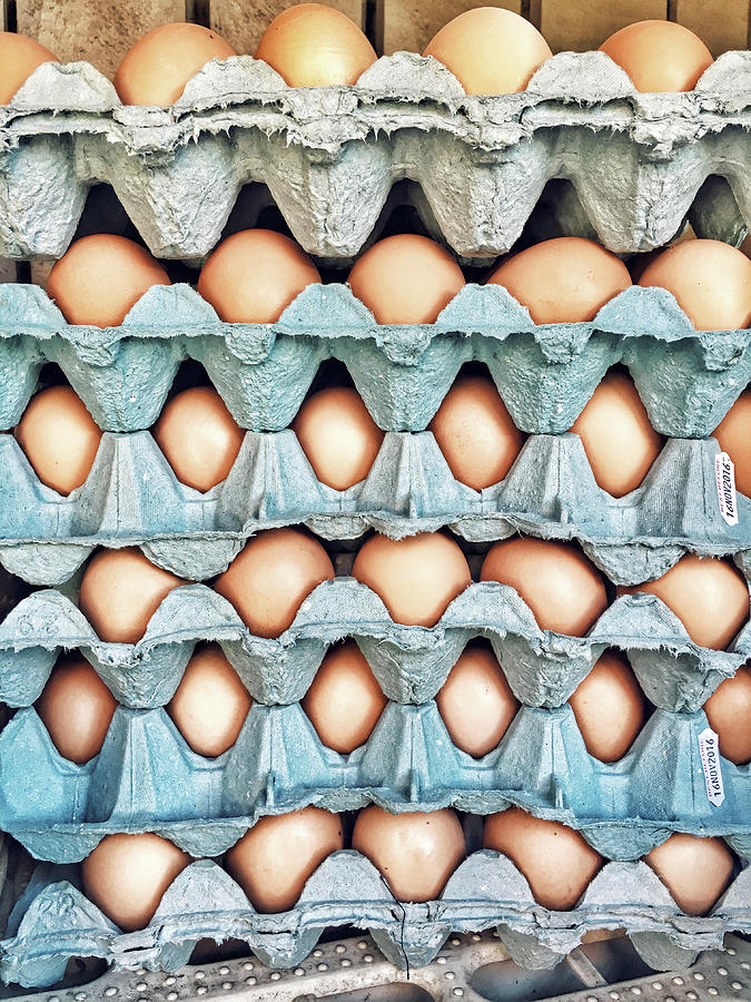 Stacked Egg Boxes Photograph by Tom Gowanlock