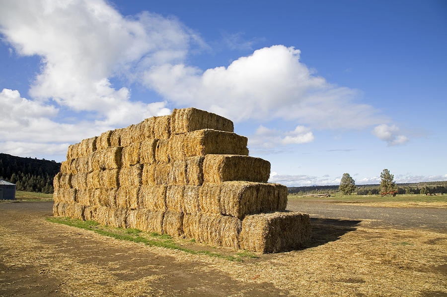 Stacked Hay Bales Photograph By Buddy Mays