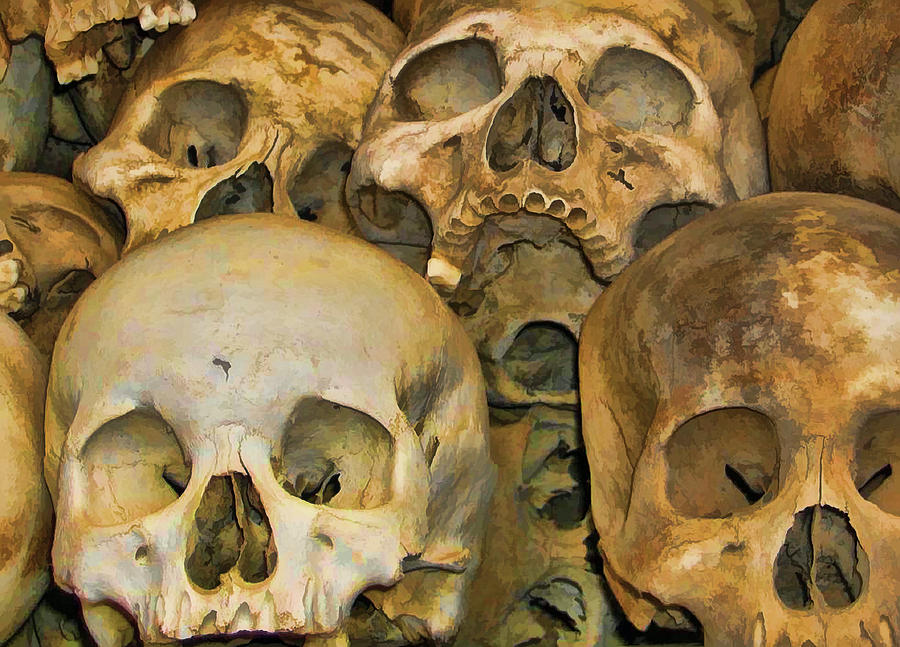 Stacked Skulls Photograph by Ricky Barnard