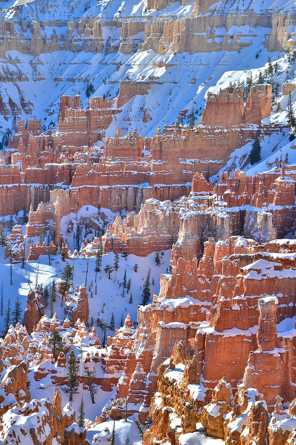 Stacks of Hoodoos Photograph by Ray Mathis