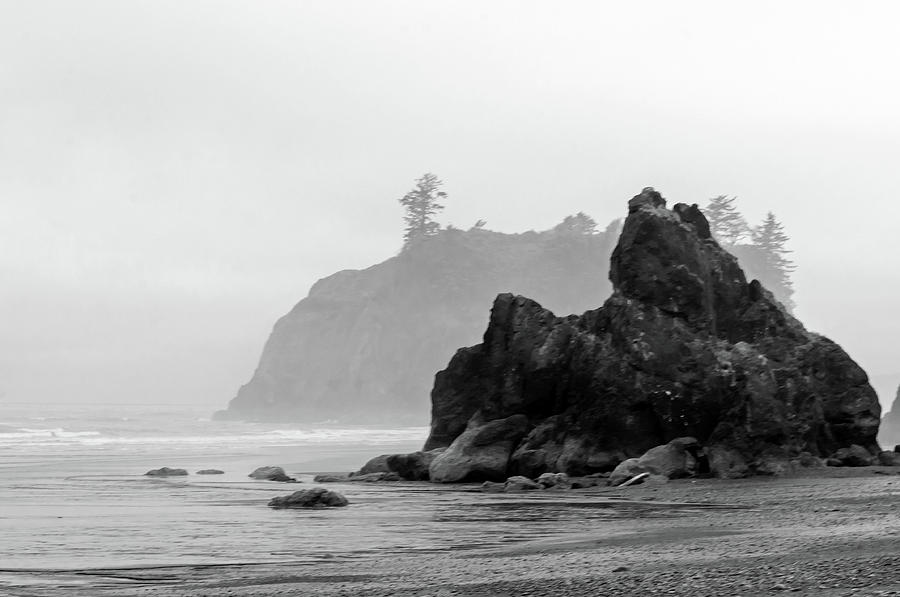 Stacks of Ruby Beach Photograph by Tikvahs Hope