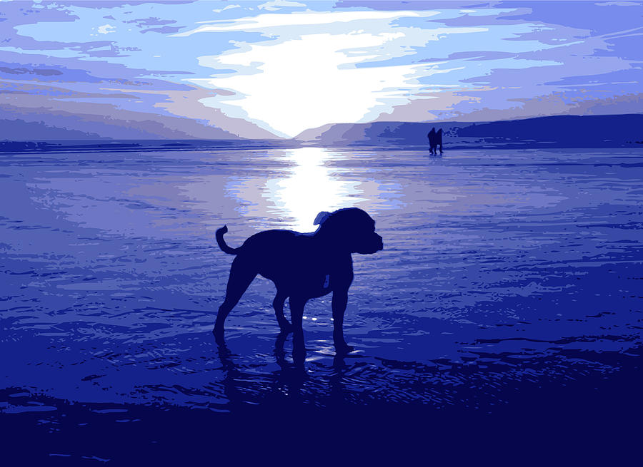 Staffordshire Bull Terrier on Beach Digital Art by Michael Tompsett