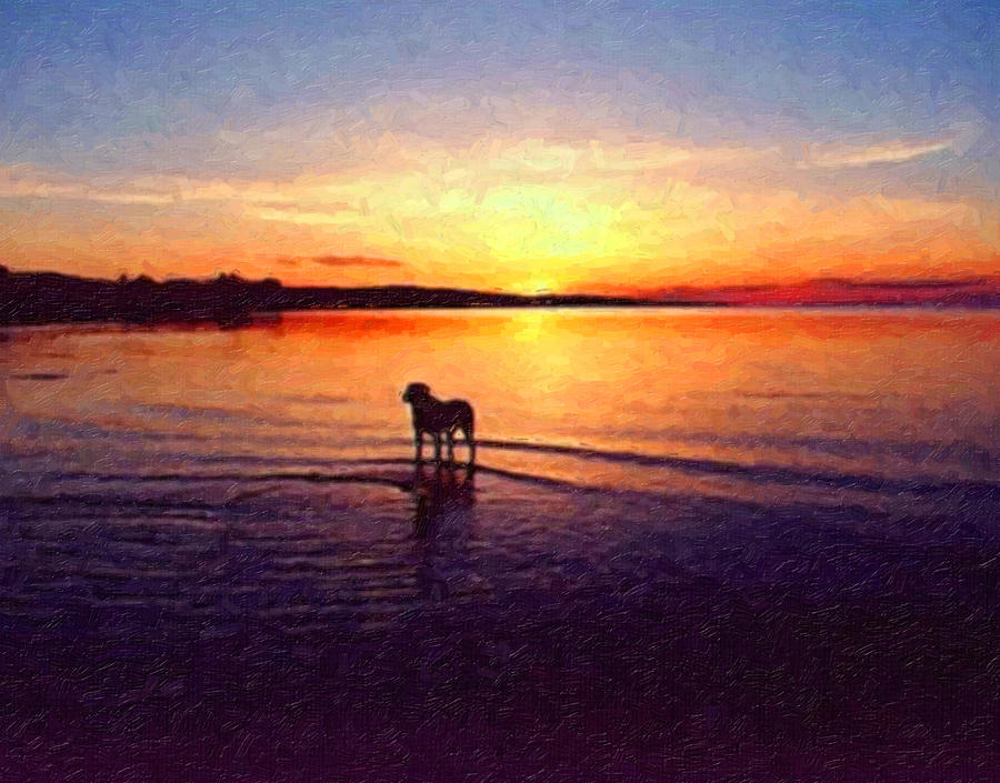 Sunset Painting - Staffordshire Bull Terrier on Lake by Michael Tompsett