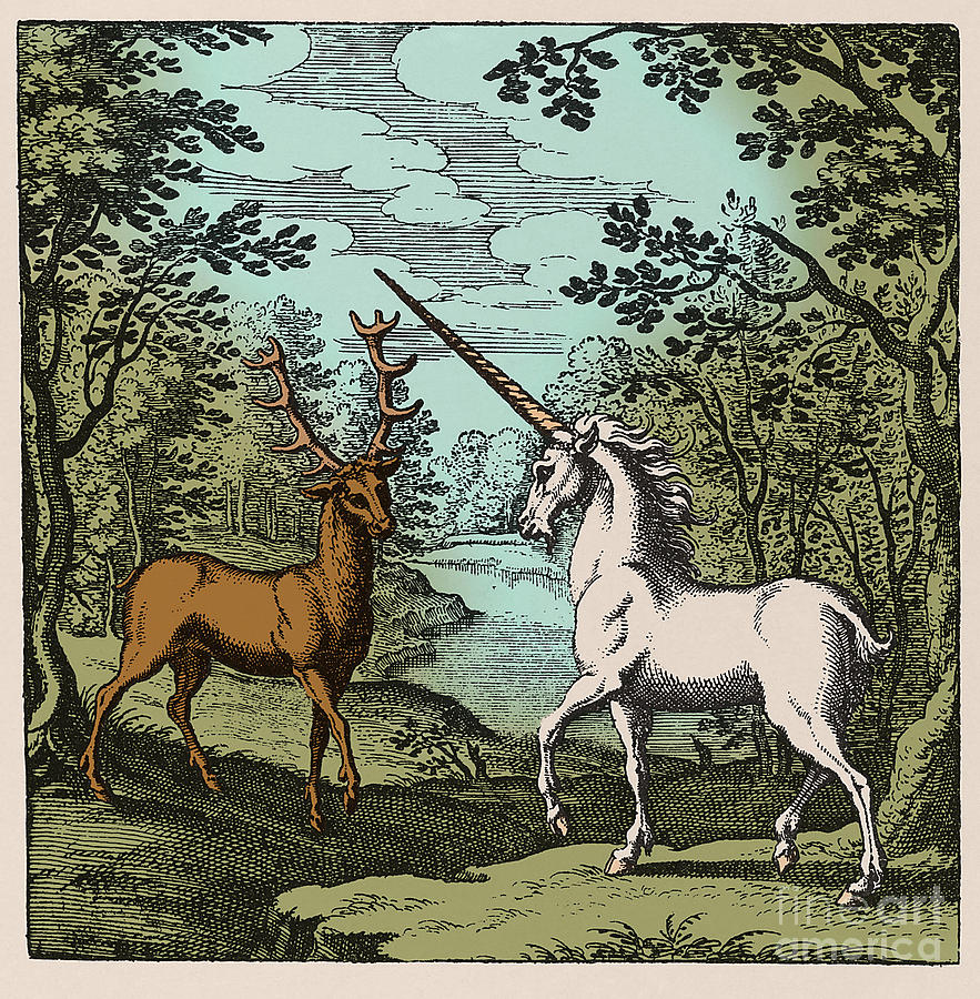 Stag And Unicorn 18th Century Photograph by Science Source