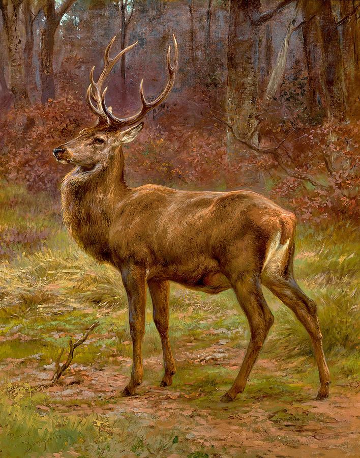 Stag in an Autumn Landscape Painting by Rosa Bonheur