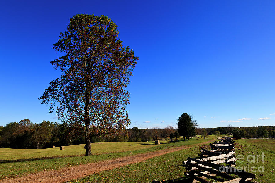 Stage Road at Appomattox Photograph by Jill Lang