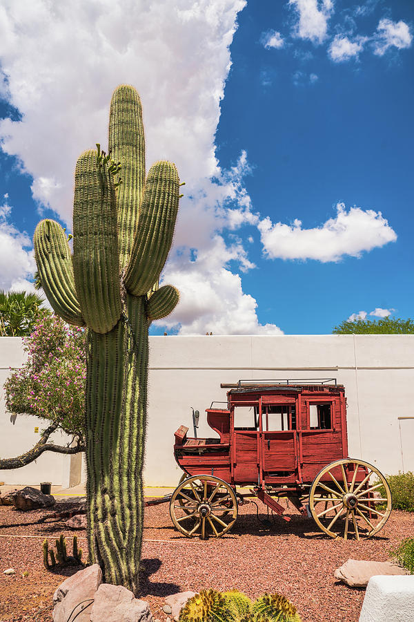 Stagecoach Cactus Tucson Arizona Photograph by Lawrence S Richardson Jr