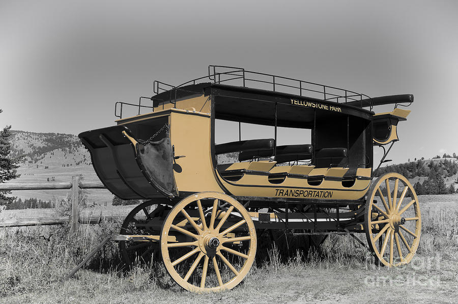 Yellowstone National Park Photograph - Stagecoach of Yellowstone by Wildlife Fine Art