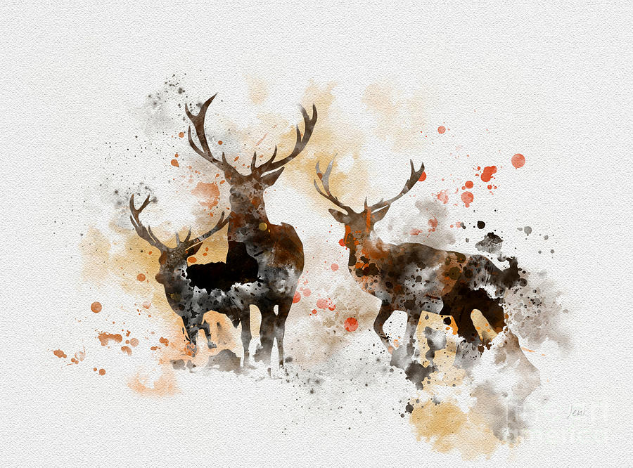 Deer Mixed Media - Stags by My Inspiration