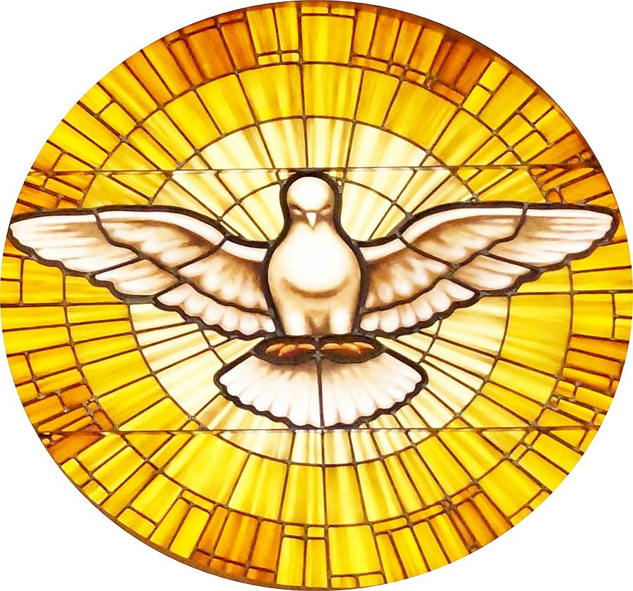 dove stained glass