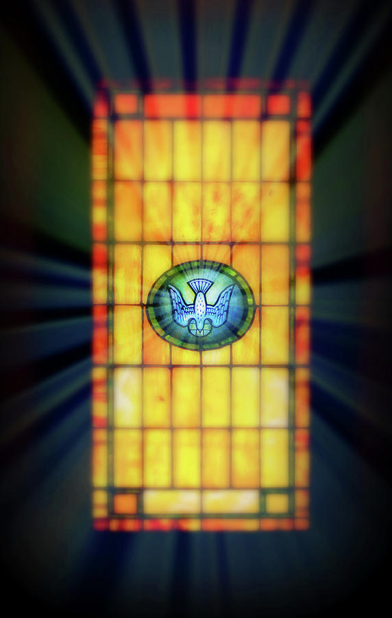 Bird Photograph - Stain Glass by Perry Webster