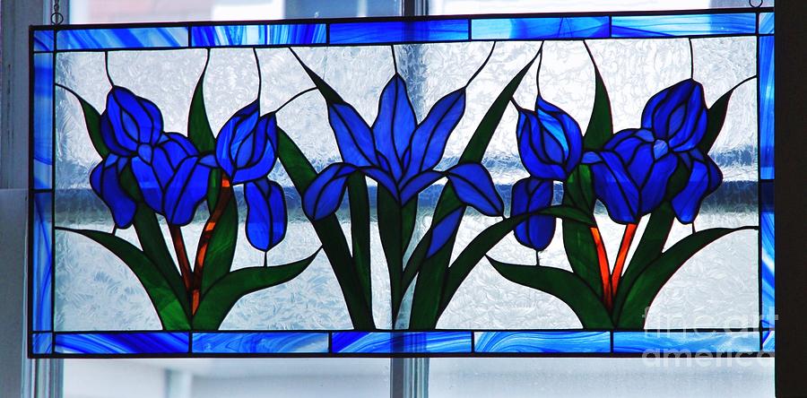 Stained Glass Flowers Photograph by Marcus Dagan