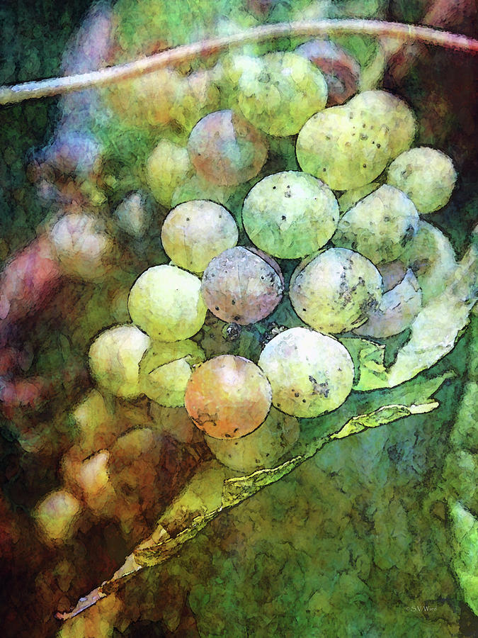Stained Glass Grapes 2756 IDP_2 Photograph by Steven Ward