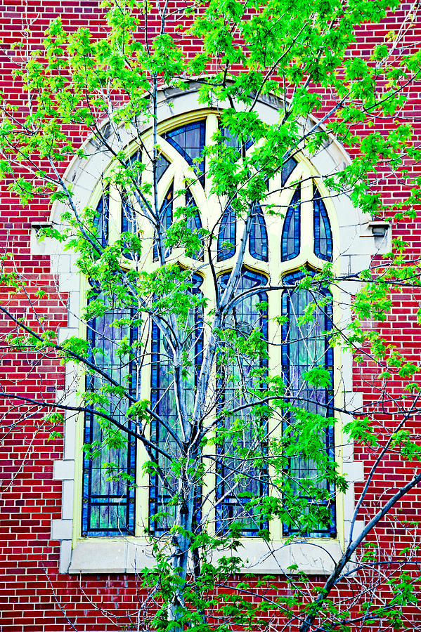 Stained Glass in Spring Photograph by Robert Meyers-Lussier