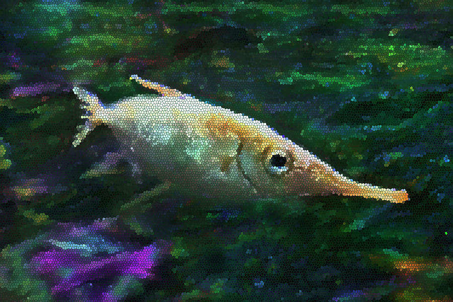 Stained Glass Sniper Fish Photograph by Miroslava Jurcik