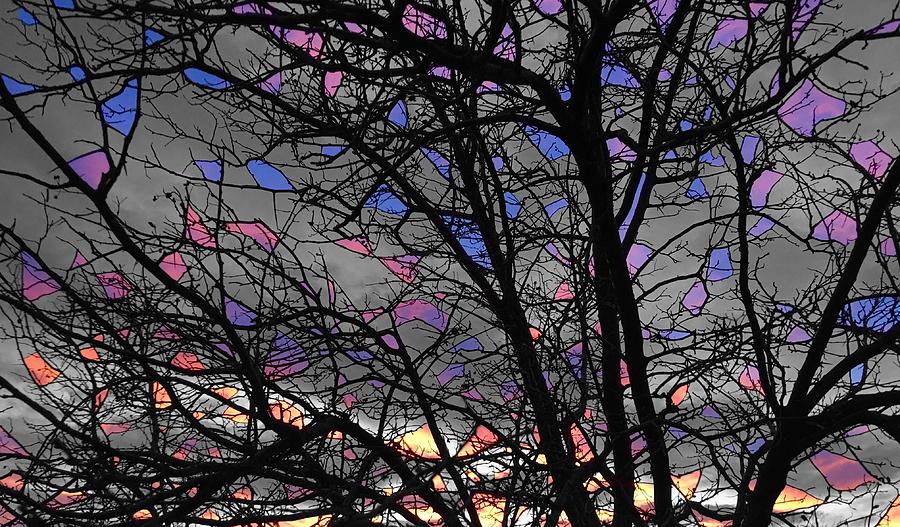 Stained Glass Sunset Photograph by Rand Ningali