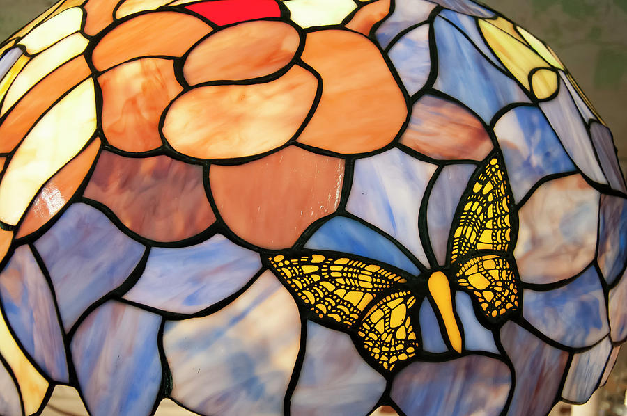 Butterfly Photograph - Stained Glass With Butterfly by Flees Photos