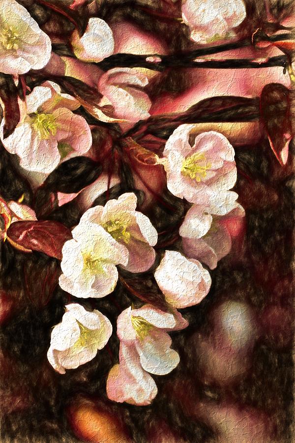 Flower Photograph - Stained by Roxanne Jones