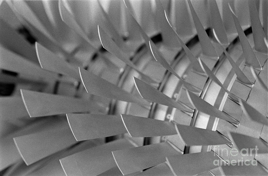 Stainless blades Photograph by Riccardo Mottola