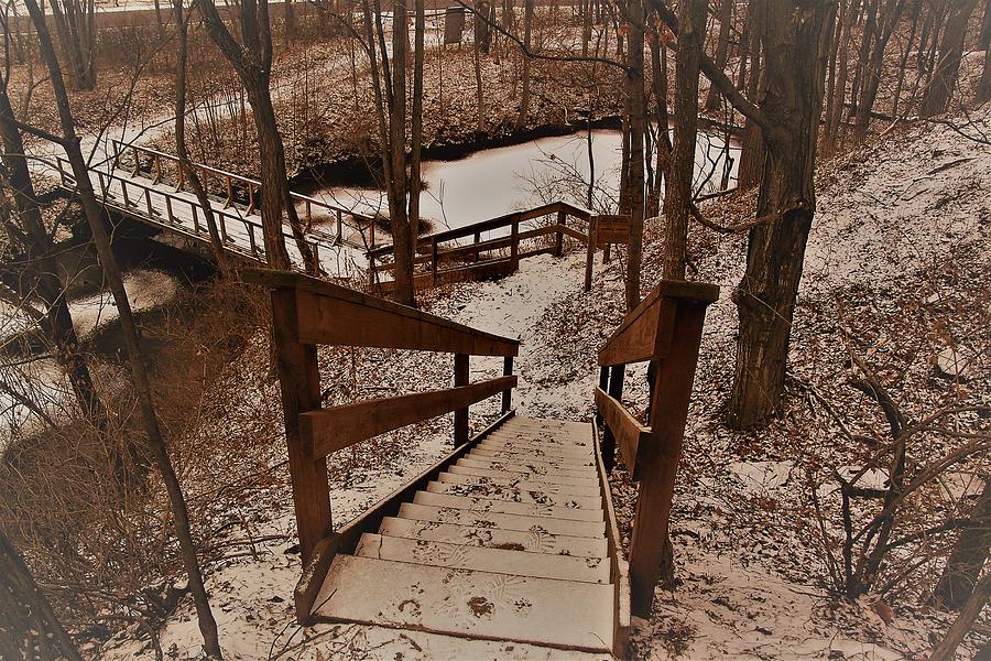 Stairs and Winter Photograph by Gerald Salamone