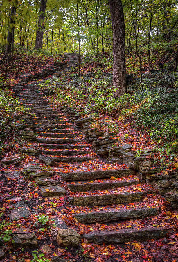 Stairs Photograph by Brad Bellisle