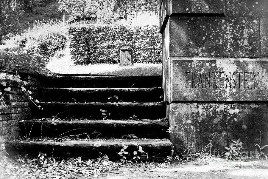 Stairs of Frankenstein Photograph by Amy Sorvillo