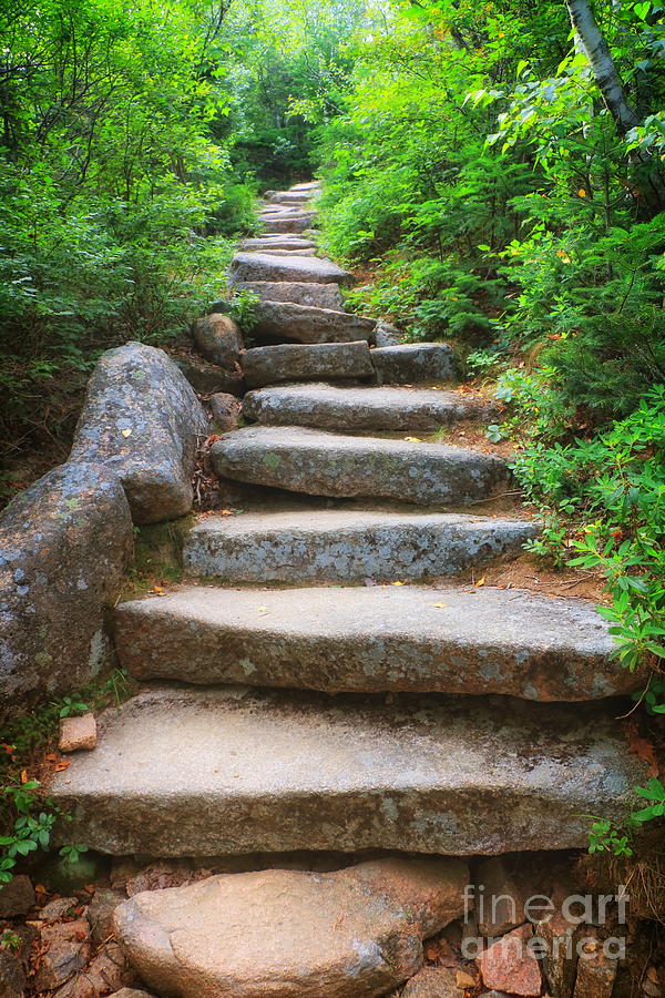 Stairs to Cadillac Mountain Photograph by Elizabeth Dow