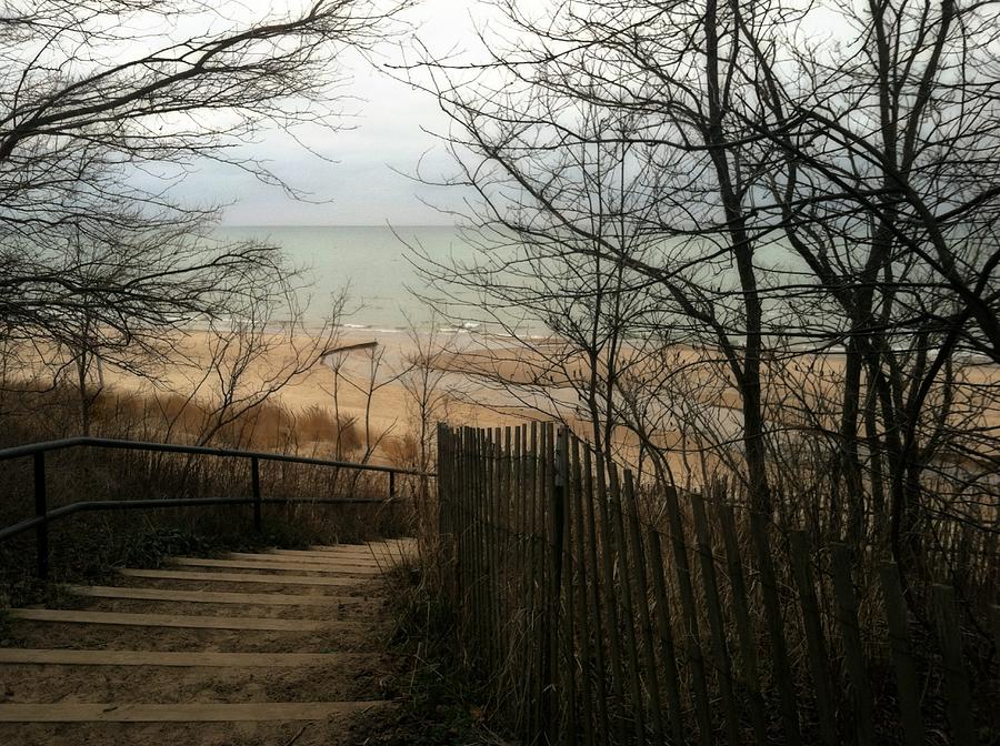 Lake Michigan Photograph - Stairs to the Beach in Winter by Michelle Calkins