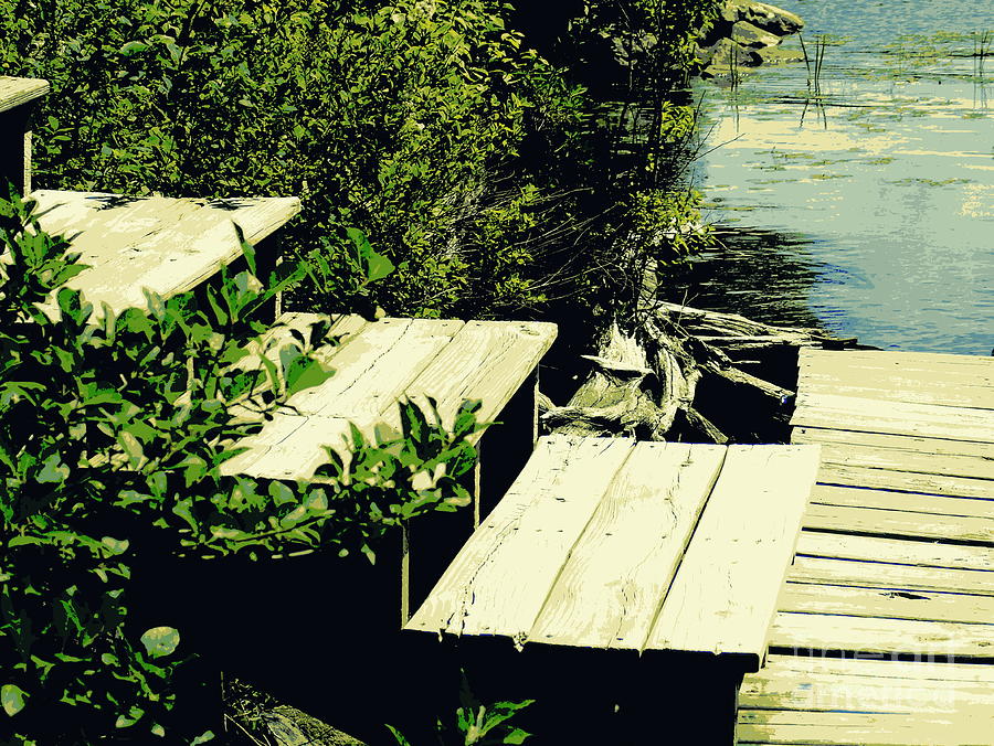 Stairs to the Dock Photograph by Susan Lafleur