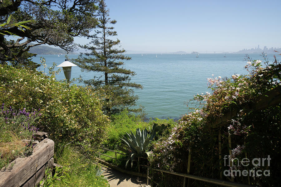 Stairs Walkways Passages and Quiet Places of Sausalito California DSC6100 Photograph by San Francisco