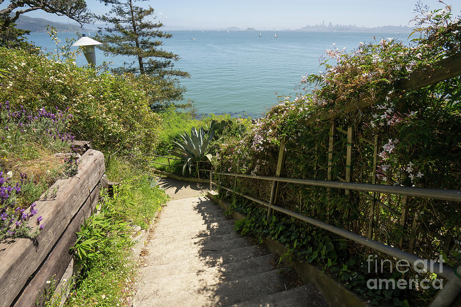 Stairs Walkways Passages and Quiet Places of Sausalito California DSC6108 Photograph by San Francisco