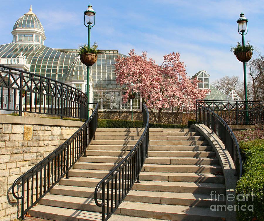 Stairway at Franklin Park Conservatory  3008 Photograph by Jack Schultz