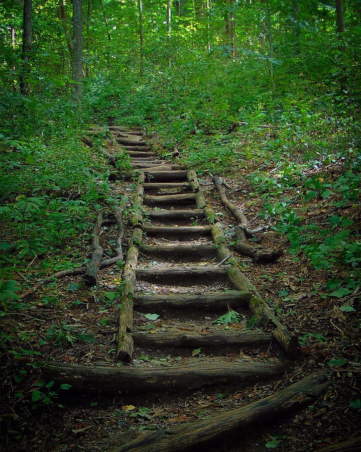 Stairway at Unicoi Gap on the AT Photograph by Richie Parks