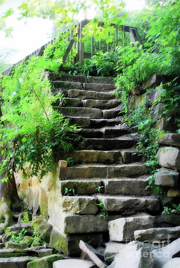 Stairway from the falls Photograph by Lila Fisher-Wenzel