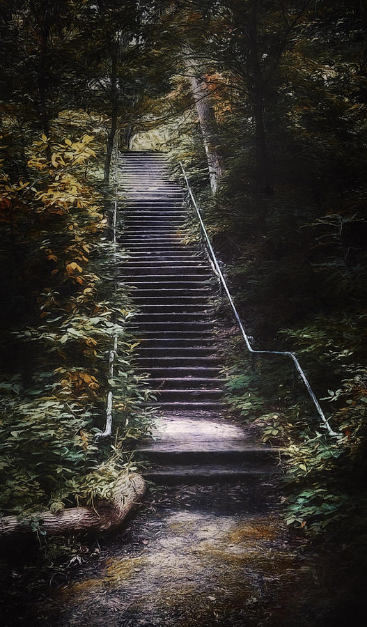 Stairs Photograph - Stairway by Scott Norris