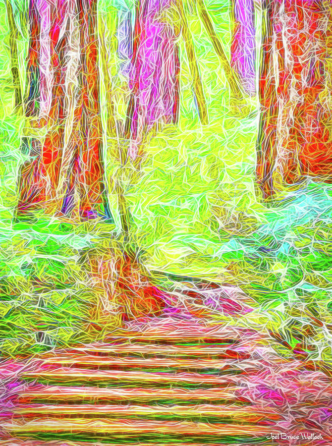 Stairway Through The Redwoods - Tamalpais California Digital Art by Joel Bruce Wallach