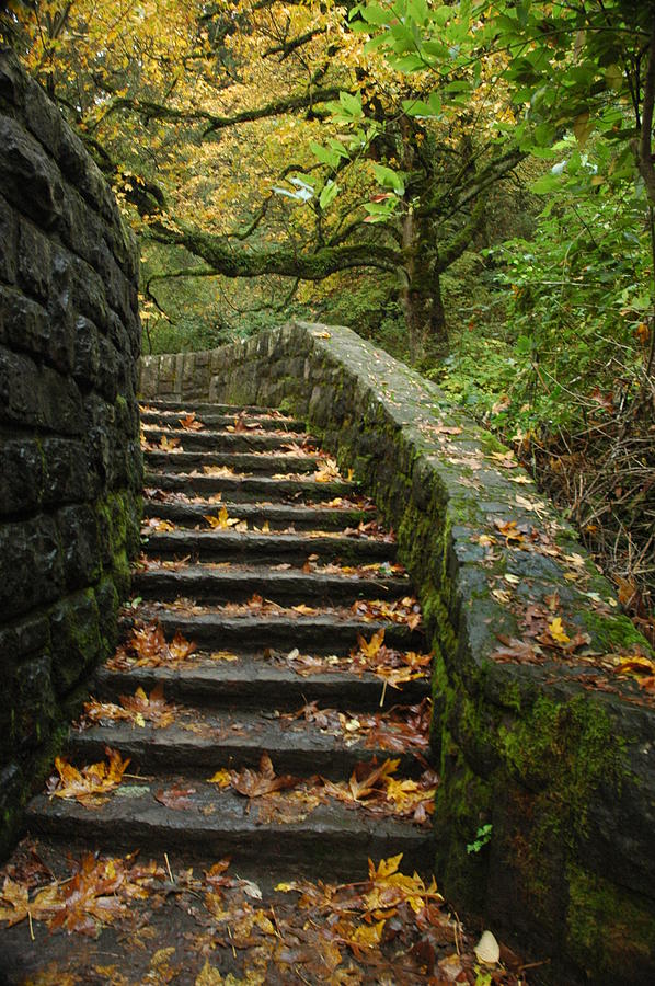Fall Photograph - Stairway to Fall by Lori Mellen-Pagliaro