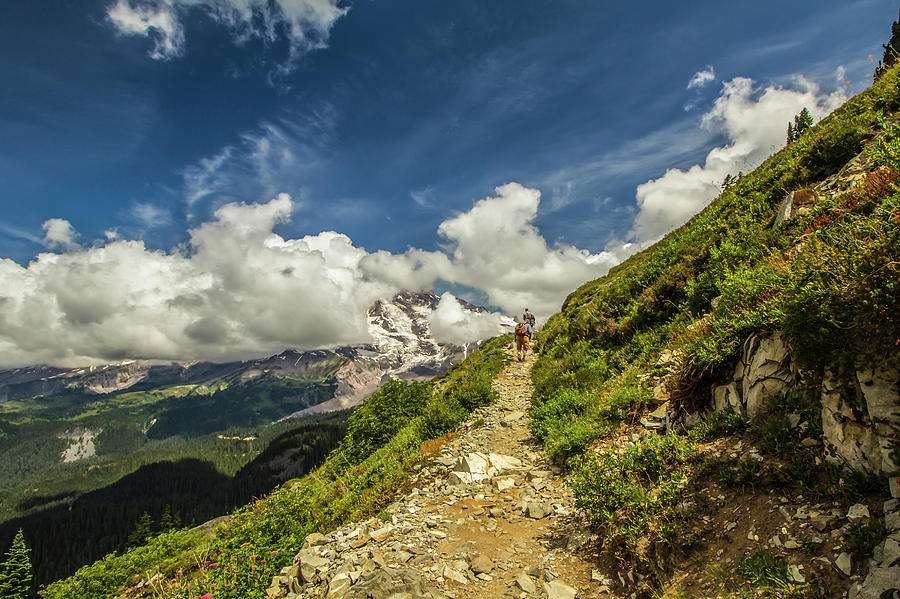 Stairway to Heaven by Doug Scrima Stairway to Heaven by Doug Scrima