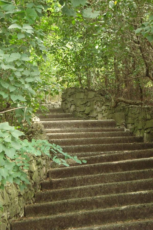 Stairway To Heaven Photograph By Ellen Adler Pixels