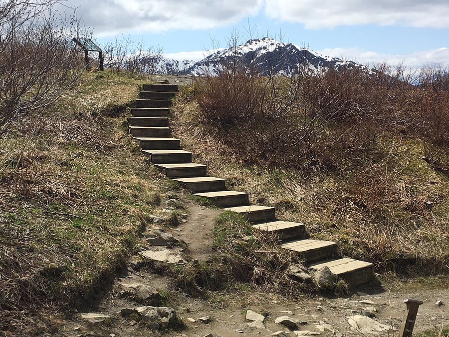 Alaska Photograph - Stairway to Heaven II by Val Oconnor