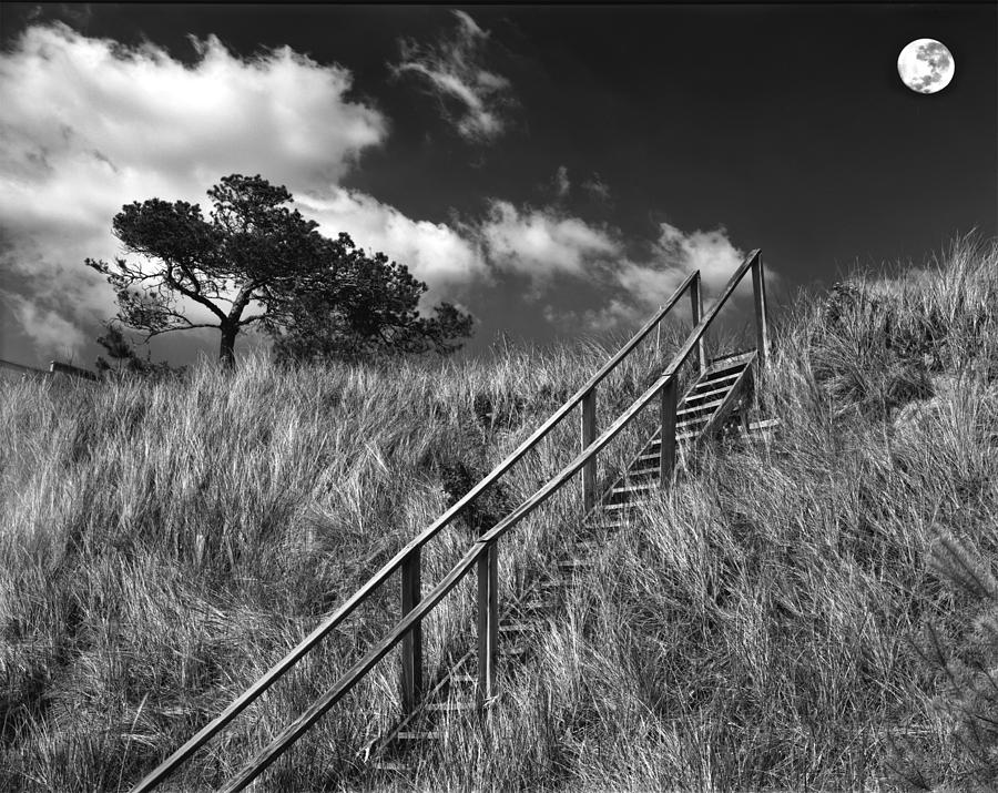 Stairway To Heaven Photograph by Kris Rasmusson