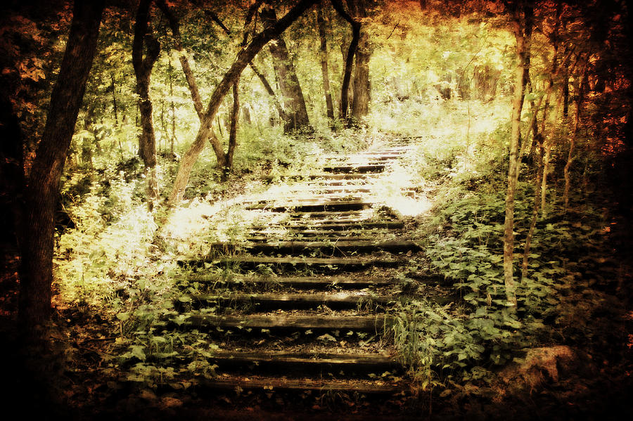 Stairway to Heaven Photograph by Julie Hamilton
