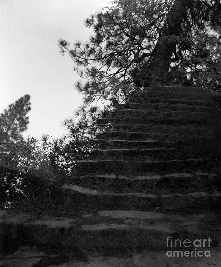 Stairway To Heaven-Signed-#001 Photograph by J L Woody Wooden