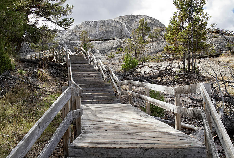 Stairway to Mammoth Photograph by Shirley Mitchell