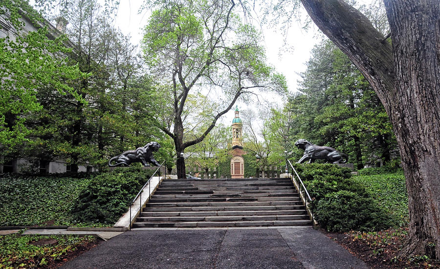 Stairway To Nassau Hall Photograph by Dave Mills