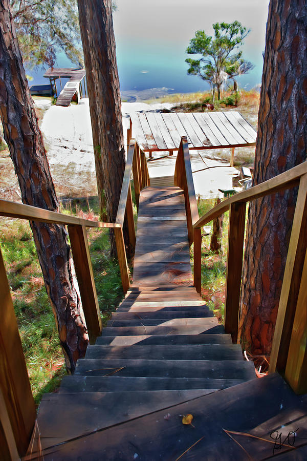 Stairway to the Lake Photograph by Gina OBrien