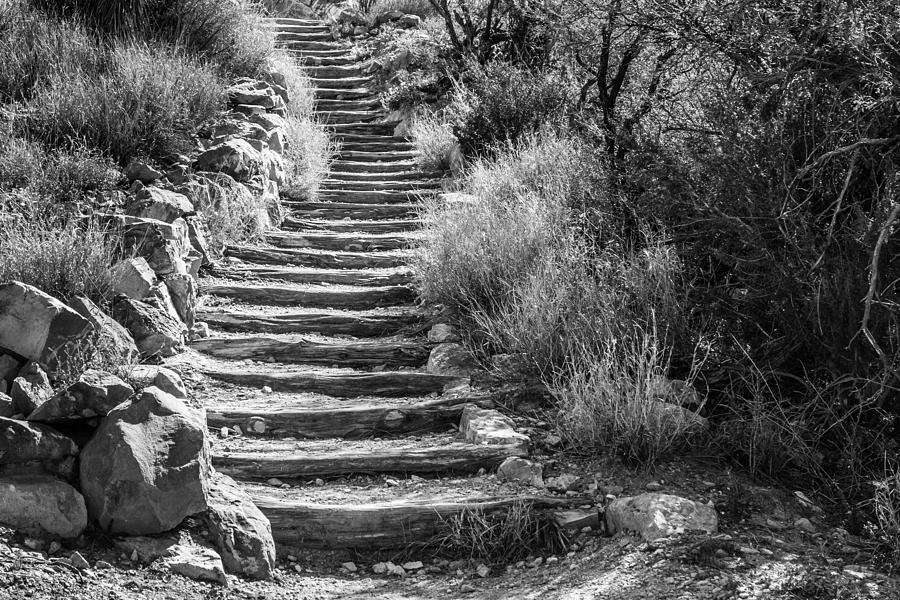 Stairway to the Sky Photograph by SR Green
