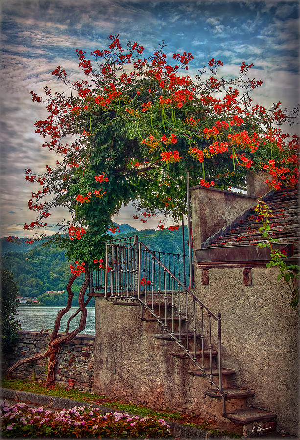 Stairway to the Terrace Photograph by Hanny Heim