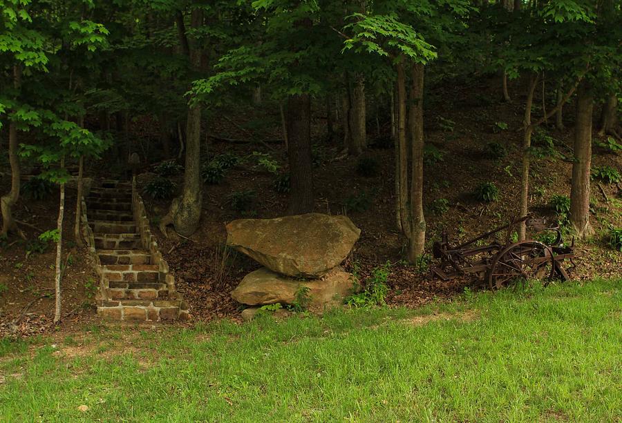 Stairway to the woods Photograph by Karen Ruhl