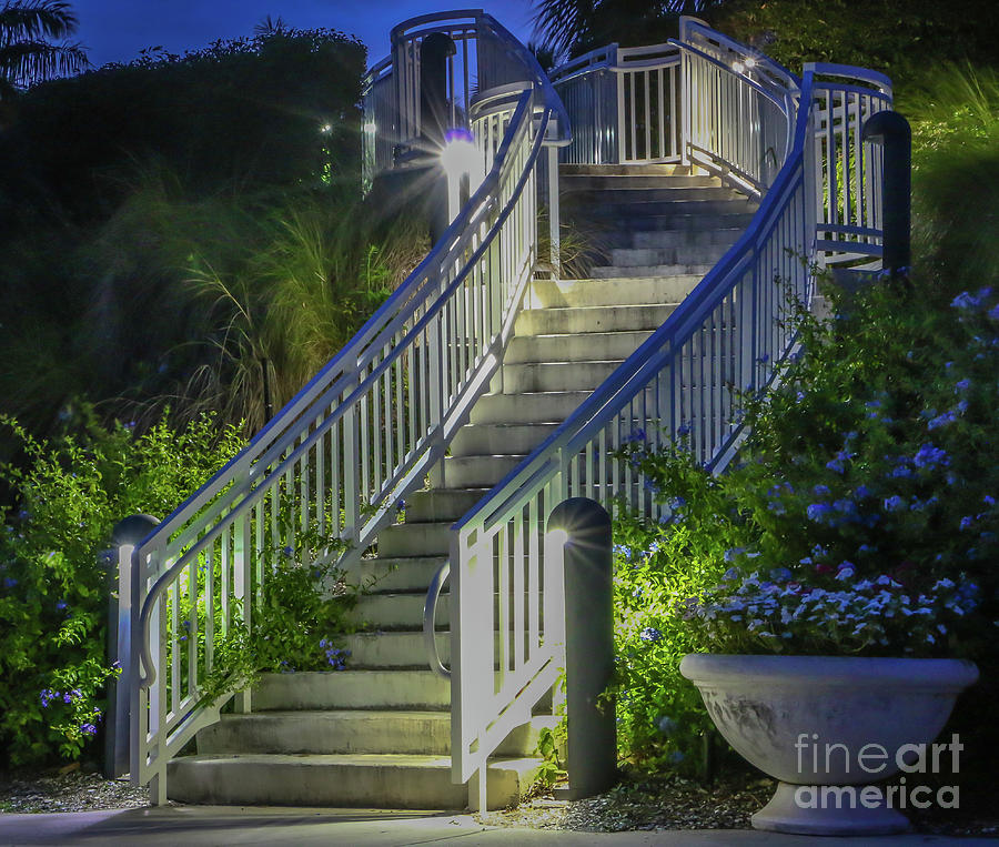 Stairway to Tuckahoe Photograph by Tom Claud